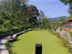 偏坡乡房东直租山庄 1200平方